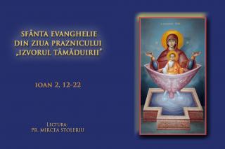 (Audio) Sfânta Evanghelie din ziua Praznicului „Izvorul Tămăduirii”