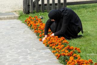 Când lucrăm virtuțile, deseori amestecăm cu dânsele în mod inconștient și făptuirea unor patimi