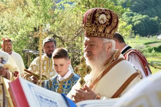 (Video) „Răbdare” – IPS Andrei