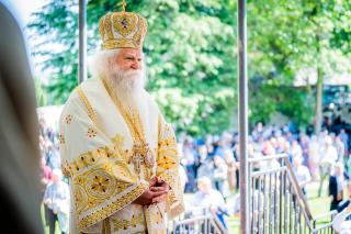 „Îndată au lăsat toate și I-au urmat!” – Predica Înaltpreasfințitului Părinte Calinic la Duminica a II-a după Rusalii