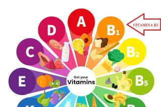 Deficitul de vitamina B1: cum ne afectează și cum îl corectăm – interviu cu nutriționist Mihaela Brebu, din cadrul Spitalului Providența