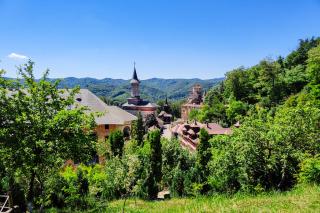Mănăstirea Rohia