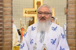 (Video) „Maica Domnului a intrat în templu pentru a se pregăti sa-l primească pe Hristos” – IPS Andrei