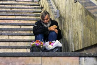 Cinci trepte ale admirației