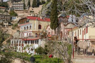 Coliba Sfântului Apostol Toma de la „Sihăstria Sfânta Ana Mică” – Athos