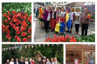Festivalul Lalelei „Doamna Maria Brâncoveanu” a ajuns la cea de-a doua ediție