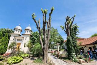(Foto) Pași de  pelerin la Mănăstirea Dervent