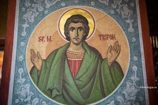 Sfântul Trifon