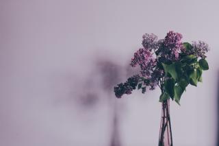 buchet de liliac