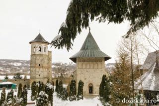 Mănăstirea Dobrovăț