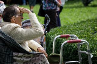 bătrân privind în zare