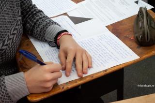 elev la examen
