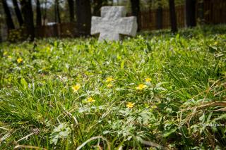 cruce de piatra in iarba