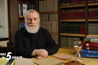Pr. Prof. Dr. Ion Vicovan