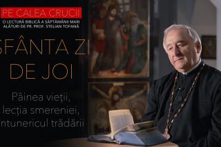 pr stelian tofan