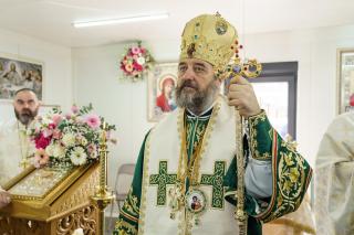 PS Nichifor Botoșăneanul