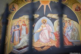 PS Sebastian, Episcopul Slatinei și Romanaților: „Pomul morții și Pomul vieții” (Scrisoare pastorală, 2025)