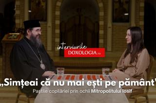 IPS Iosif