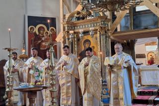 Consolidarea misiunii pro viață din Arhiepiscopia Iașilor: întâlnirea preoților responsabili de activitatea Pro Vita din cele 13 protopopiate ale eparhiei