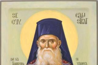 Duminica viitoare va avea loc proclamarea locală a canonizării Sfântului Cuvios Calistrat de la Timișeni și Vasiova