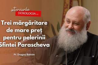 pr. Dragoș Bahrim