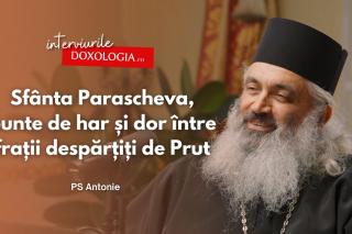 PS Antonie