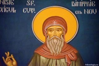 Sfântul Cuvios Dimitrie cel Nou, Ocrotitorul Bucureștilor