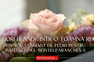 baldachin cuvioasa parascheva