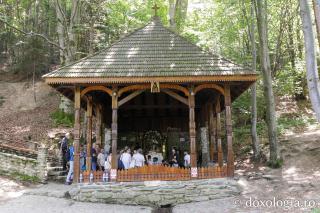 Izvorul Sfântului Cuvios Mărturisitor Arsenie de la Prislop