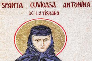 Sfânta Cuvioasă Antonina de la Tismana