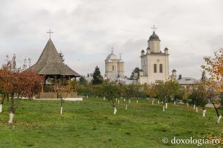 Mănăstirea Pasărea