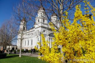 Iașul înflorit, la începutul Săptămânii Mari