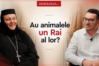 În dialog cu M. Doroteea, stareța-chirurg