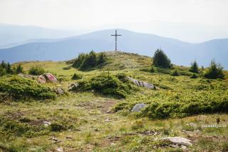 Contemplarea naturii