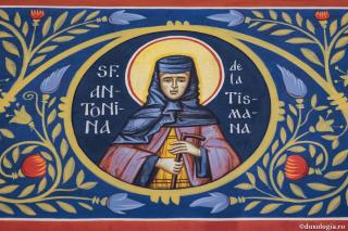 Sfânta Cuvioasă Antonina de la Tismana