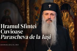 IPS Teofan, Mitropolitul Moldovei și Bucovinei