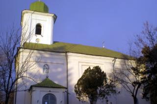 Biserica Buna Vestire (Iași)