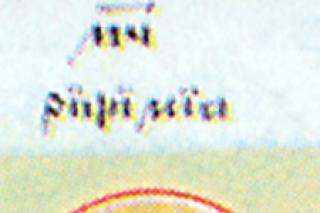 Sfânta Muceniță Ripsimia