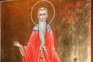 Sfântul Cuvios Ioanichie cel Nou de la Muscel (Argeș)