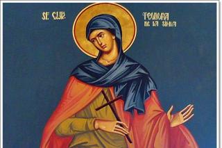 Sfânta Cuvioasă Teodora de la Sihla