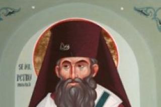 Sfântul Ierarh Petru Movilă, Mitropolitul Kievului