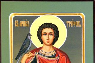 Sfântul Mucenic Trifon