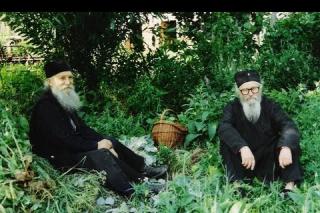 Starețul Tadei de la Mănăstirea Vitovnița