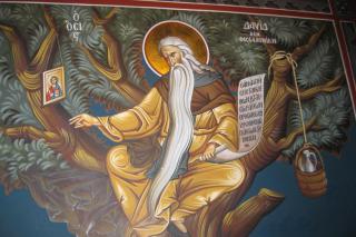 Sfântul Cuvios David din Tesalonic