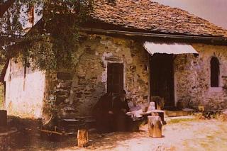 Cuviosul Paisie Aghioritul (Galerie Foto)