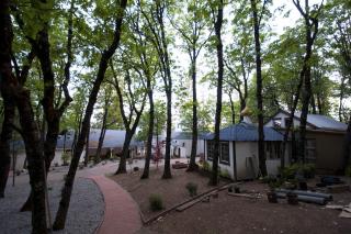 (Foto) Acasă la Părintele Serafim Rose – Mănăstirea „Sfântul Gherman” de la Platina
