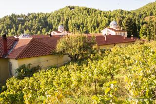 Mănăstirea Cuviosului David din insula Evia