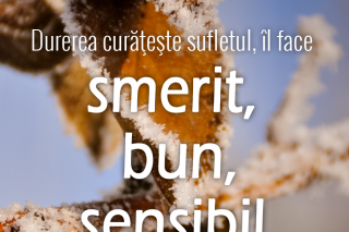 Durerea curățește sufletul