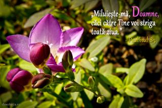 Miluieşte-mă, Doamne!