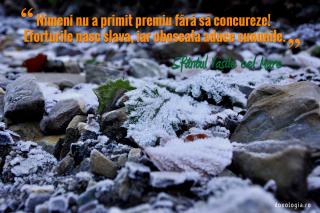 Nimeni nu a primit premiu fără să concureze!